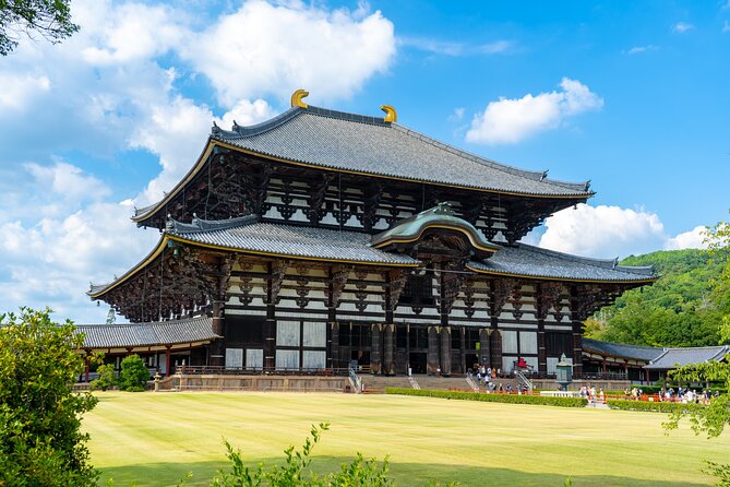 Nara and Uji 1-Day Private Trip - Lunch and Refreshments