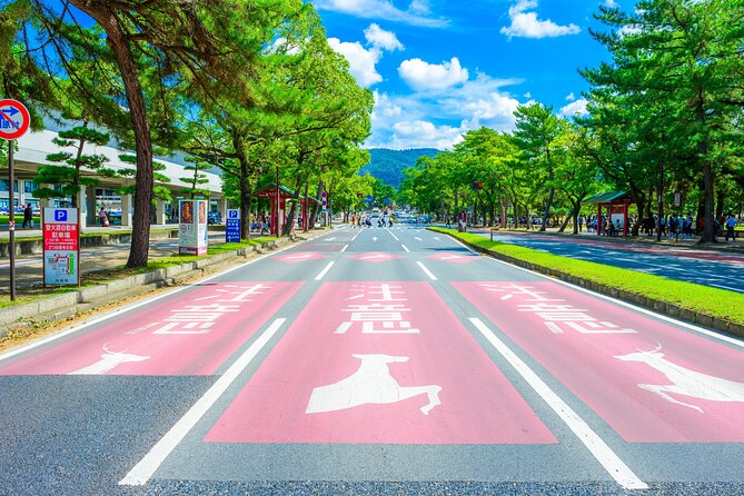 Nara and Uji 1-Day Private Trip - Guide and Transportation