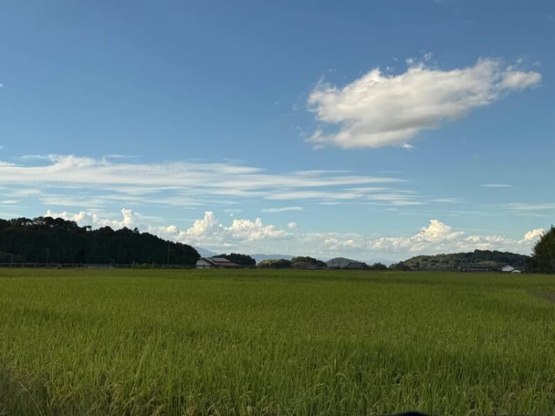 Nara: Asuka Village Private Tour - Oldest Temple in Japan - Cultural and Historical Significance