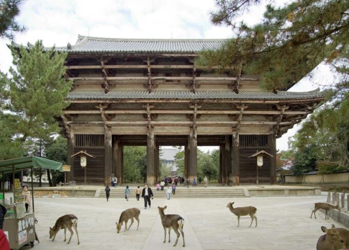 Nara: Audio Guide Delve Into Todai-Ji & Kasuga Taisha - Preparing for Your Self-Guided Tour