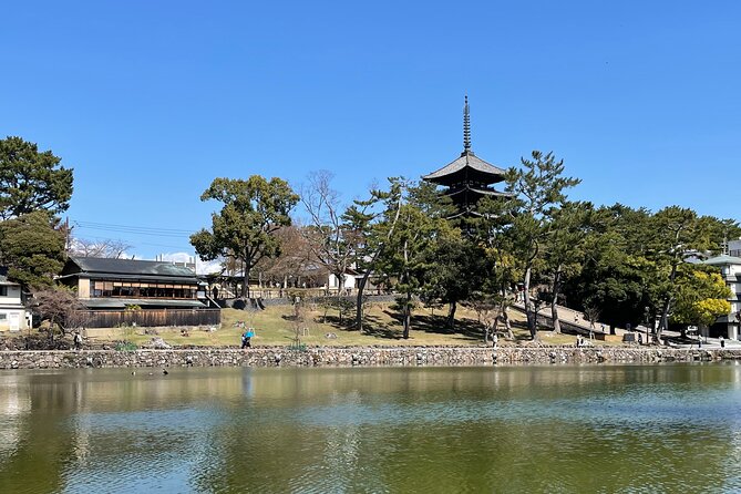 Nara Best Spots Private Tour With Licensed Guide (6h/8h) - Additional Information
