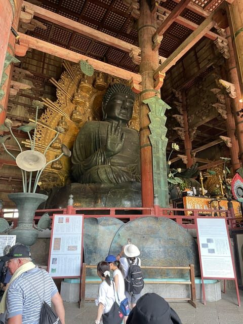 Nara City Tour | Explore Temples, Park & Local Highlights - The Itinerary: What You Can Expect