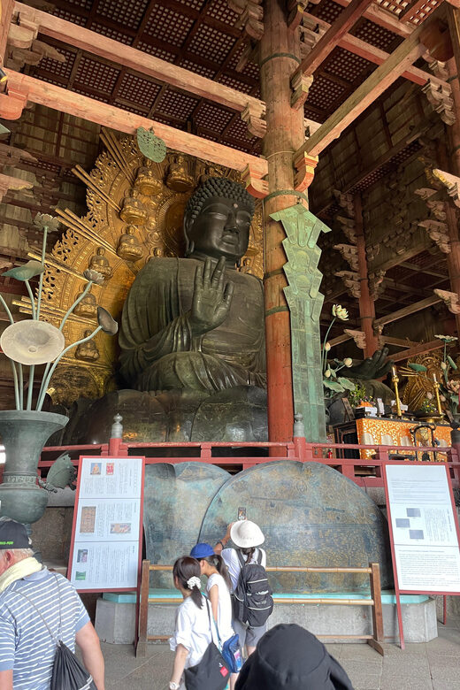 Nara City Tour | Explore Temples, Park & Local Highlights - Final Thoughts