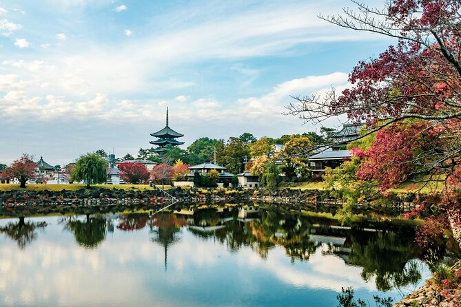 Nara Culinary Tour With a Chef! - Exploring Naras Culinary Delights