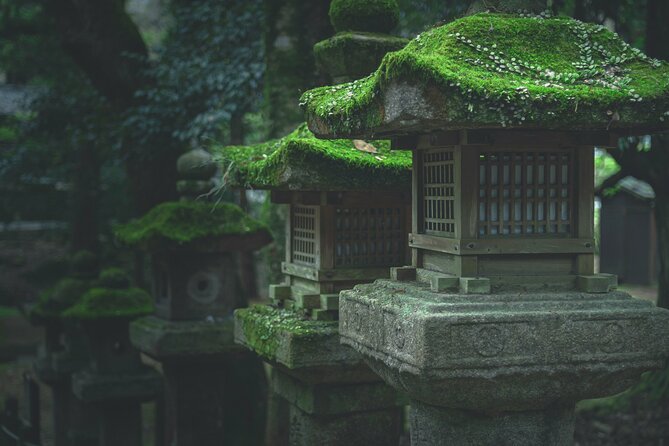 Nara Culinary Tour With a Chef! - Taking in Naras Cultural Experiences