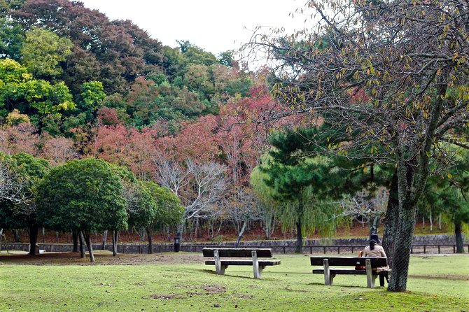 Nara Custom Full Day Tour - Passport and Age Verification