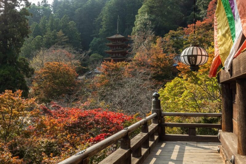Nara Day Tour From Osaka - Exclusions