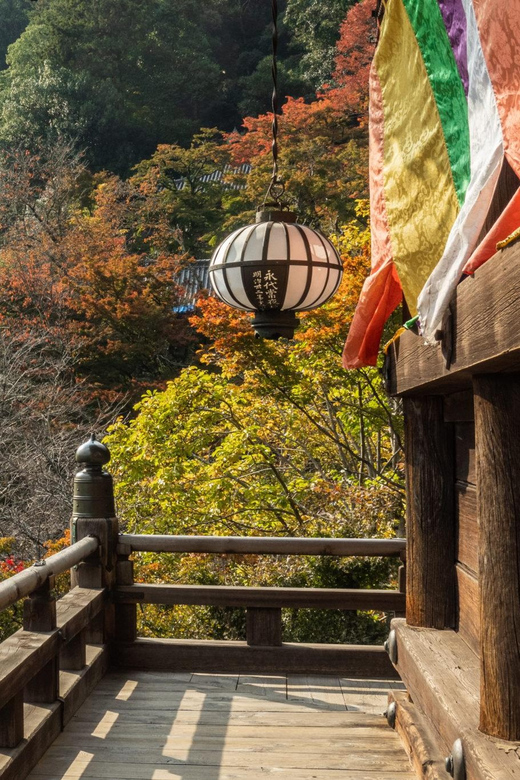 Nara Day Tour From Osaka - Cancelation Policy