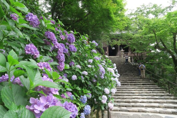 Nara Day Tour From Osaka - Alcohol Policy