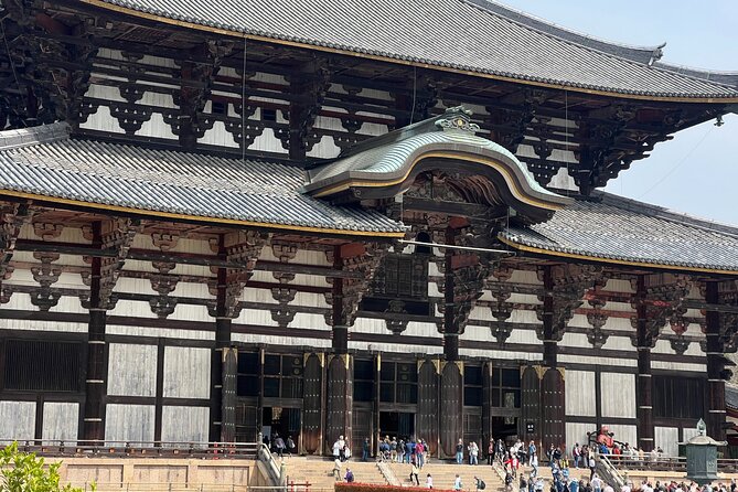 Nara Day Trip From Kyoto With a Licensed Guide - Exploring Naras Captivating Attractions