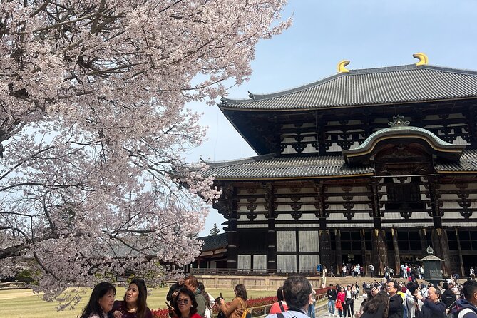 Nara Day Trip From Kyoto With a Licensed Guide - Experiencing the Rich Culture and History