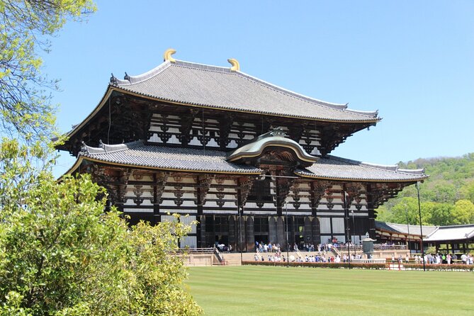 Nara Day Trip From Osaka With a Licensed Guide - Feeding the Friendly Deer of Nara Park
