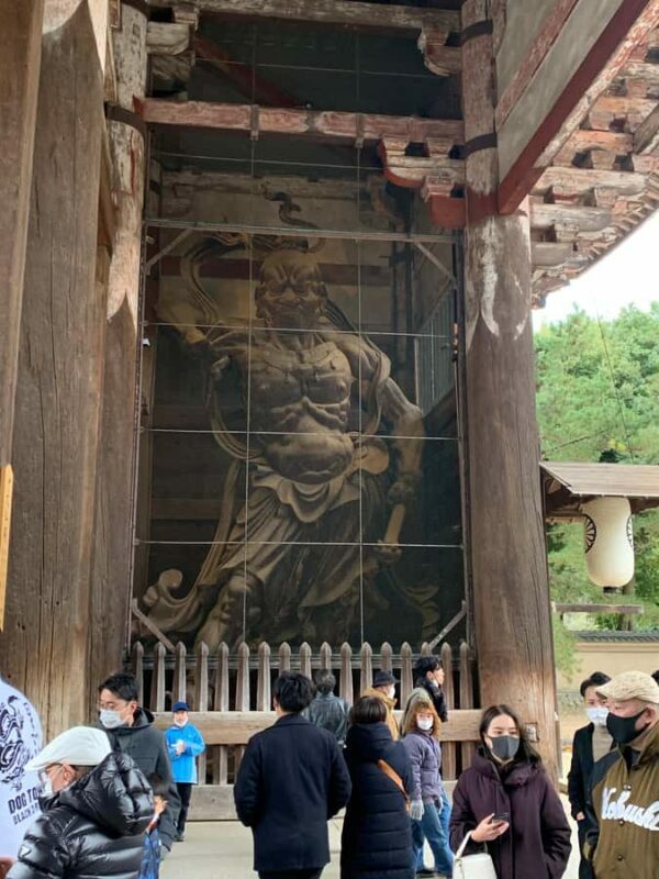 Nara: Deer, Great Buddha & Traditional Mochi Experience - Practical Details and Considerations