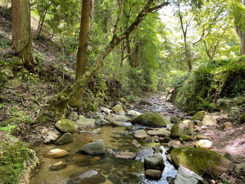 Nara: Discover Countryside– Landscape and Mysterious History - Key Points