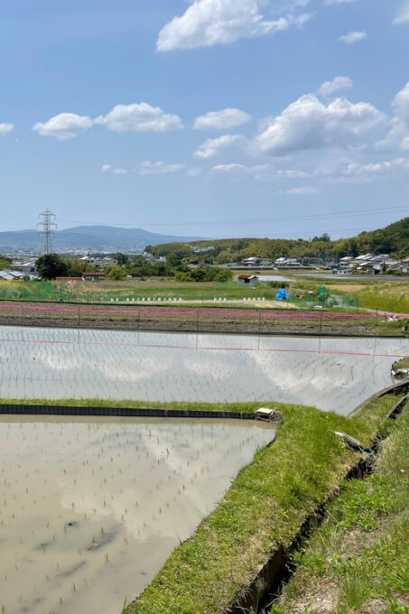Nara: Discover Countryside– Landscape and Mysterious History - Scenic Countryside and Sunset Views