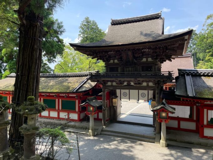Nara: Discover Countryside– Landscape and Mysterious History - Important Tour Information and Inclusions