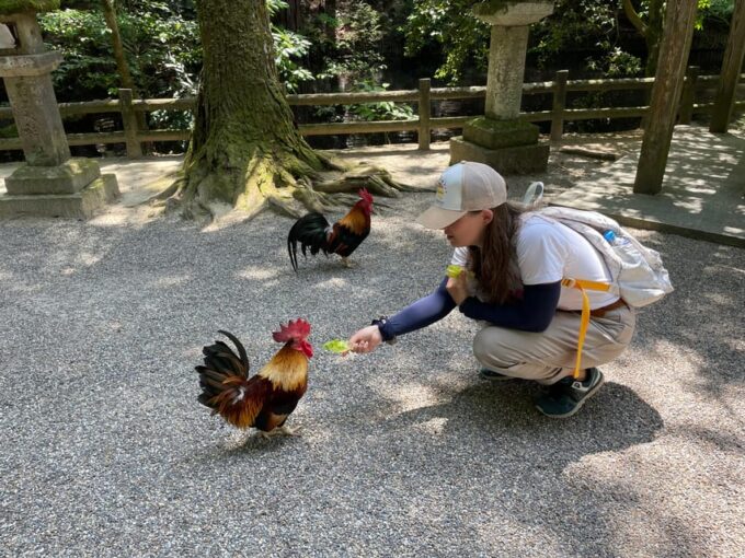 Nara: Discover Countryside– Landscape and Mysterious History - Frequently Asked Questions