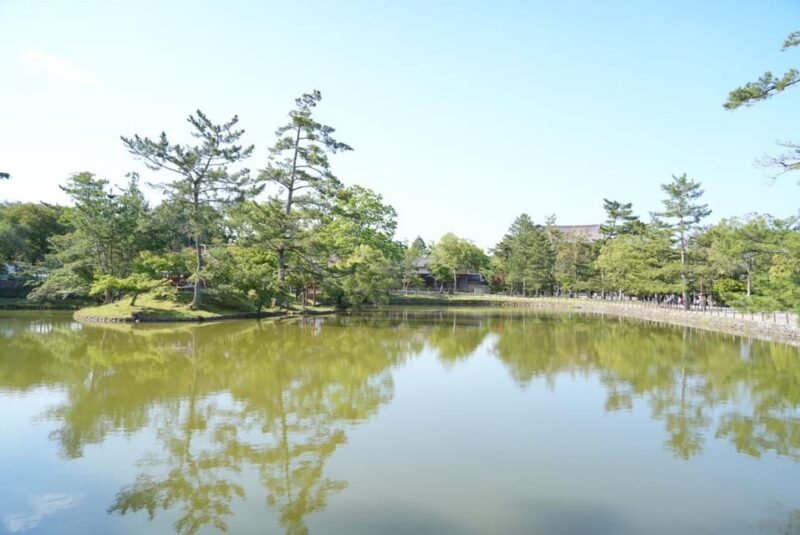 Nara Early Bird Tour (Kyoto Departure Option Available) - Itinerary Highlights