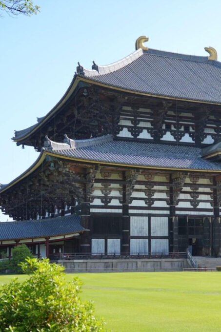 Nara Early Bird Tour (Kyoto Departure Option Available) - Frequently Asked Questions