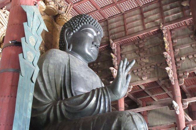 Nara ENGLISH GUIDE, Giant Buddha, Deer Free in the Park - Key Points