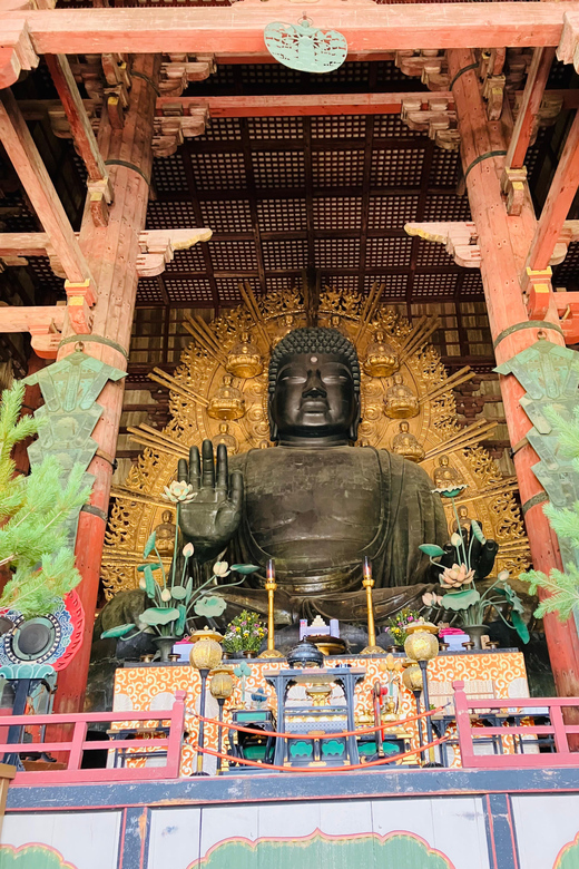 Nara: Essential Private Tour With Deer Park and Temples - Guided Tour Highlights