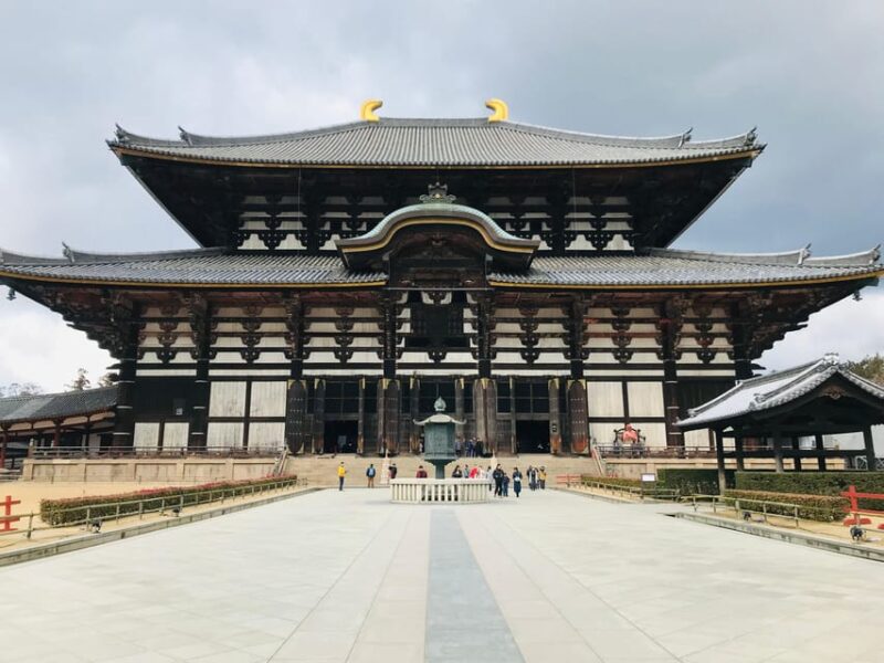 Nara: Essential Private Tour With Deer Park and Temples - Customer Feedback and Ratings