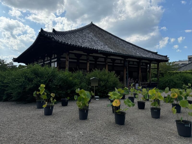 Nara: Explore Gangoji Temple and Naramachi in 90 Minutes - Exploring the Historic District of Naramachi