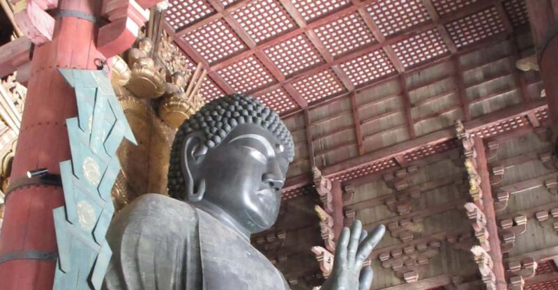 NARA: Giant Buddha, Free Deer in the Park (Italian Guide) - Itinerary