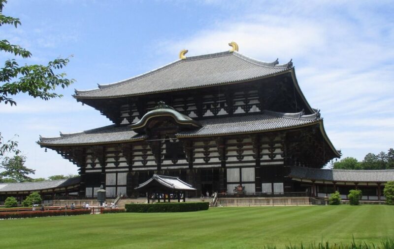 Nara: Giant Buddha, Free-Roaming Deer in the Park (English Guide) - Key Points