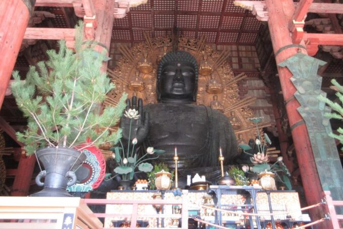 Nara: Giant Buddha, Free-Roaming Deer in the Park (English Guide) - Frequently Asked Questions