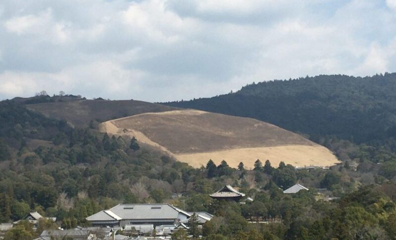 Nara: Half-Day Private Guided Tour - Itinerary Highlights