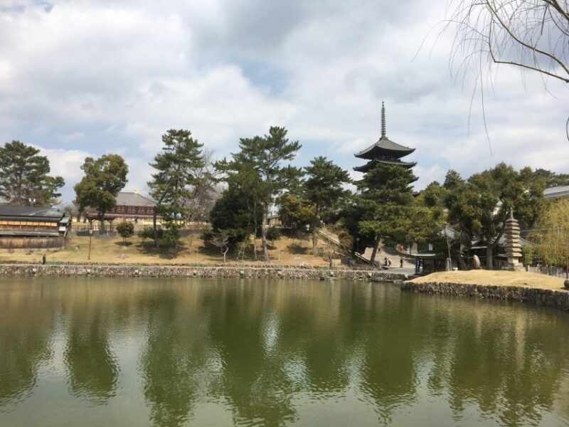 Nara: Half-Day Private Guided Tour - Tōdai-ji Temple