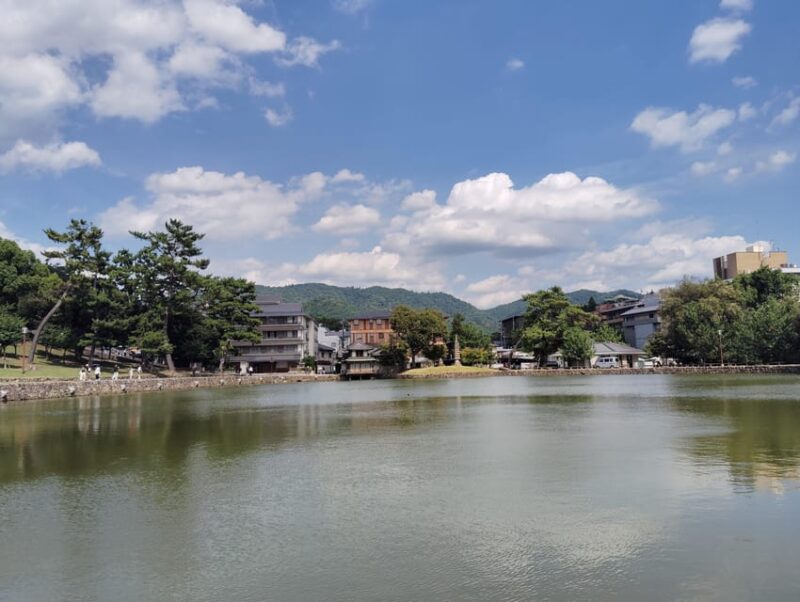 Nara: Half-Day Private Tour of 4 Must-See Spots & Deer Park - Key Points
