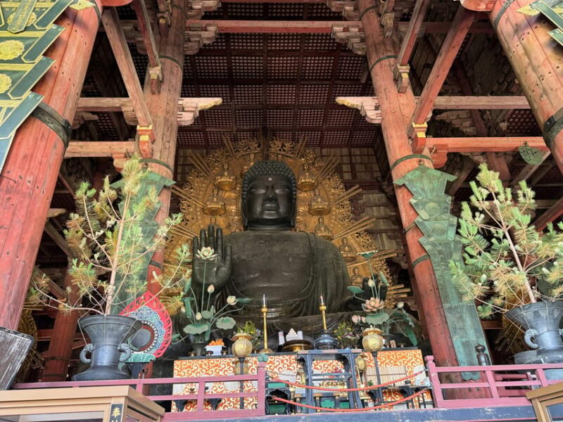Nara: Half-Day Private Tour of 4 Must-See Spots & Deer Park - Nara Park and the Sacred Deer
