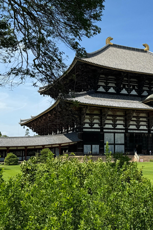 Nara: Half-Day Private Tour of 4 Must-See Spots & Deer Park - Kasuga Taisha Shrine