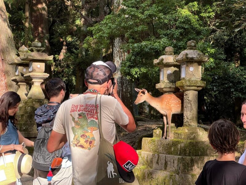 Nara: Half-Day Private Tour of 4 Must-See Spots & Deer Park - Savoring a Traditional Japanese Lunch