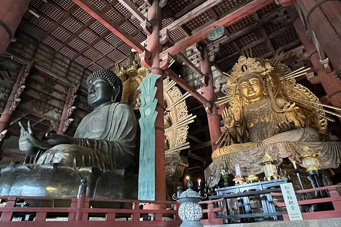 Nara Half Day Tour Discover Ancient Temples and Friendly Deer - Interacting With Naras Friendly Deer