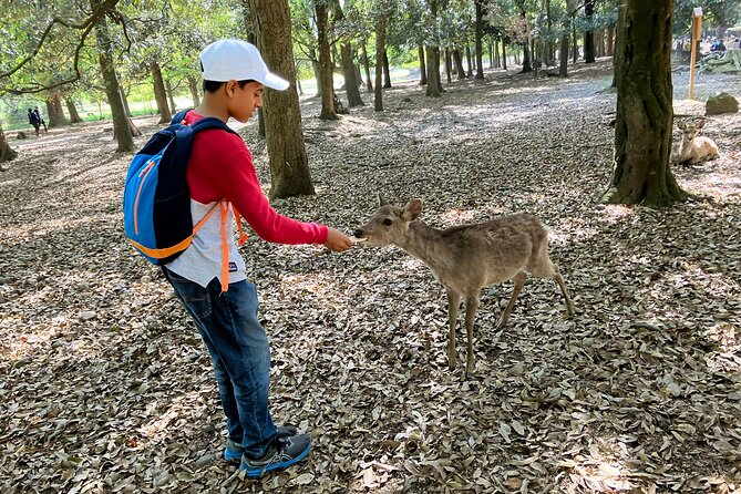 Nara Half Day Tour Discover Ancient Temples and Friendly Deer - Highlights of the Nara Half Day Tour