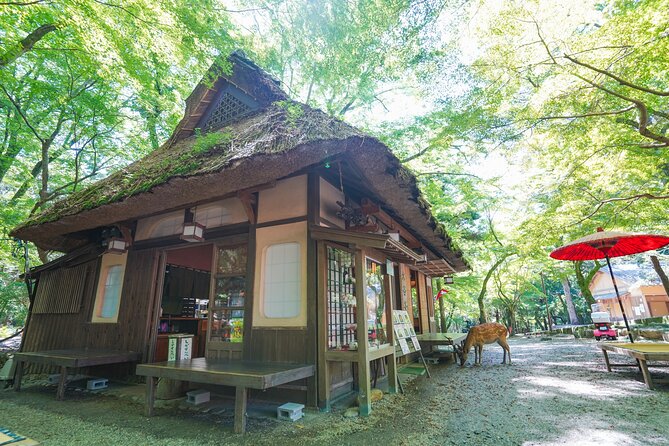Nara Half Day Trip Walking Tour - Additional Tour Information