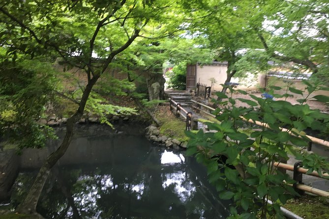 Nara Half Day Trip Walking Tour - Interacting With Naras Deer