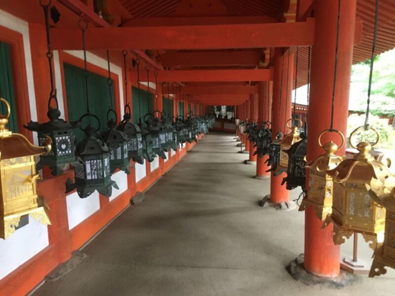Nara: Half-Day UNESCO Heritage & Local Culture Walking Tour - Nara Park and Sacred Deer