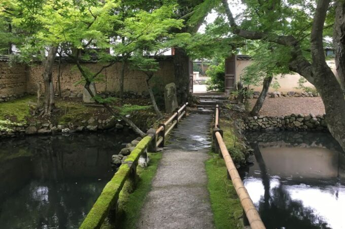 Nara: Half-Day UNESCO Heritage & Local Culture Walking Tour - Frequently Asked Questions
