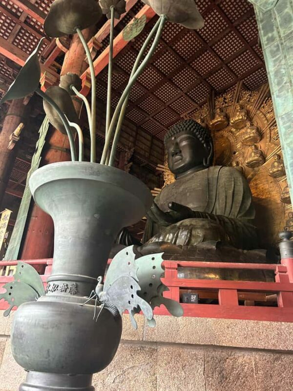 Nara: Half-Day Walking Tour | Spanish Private - Key Points