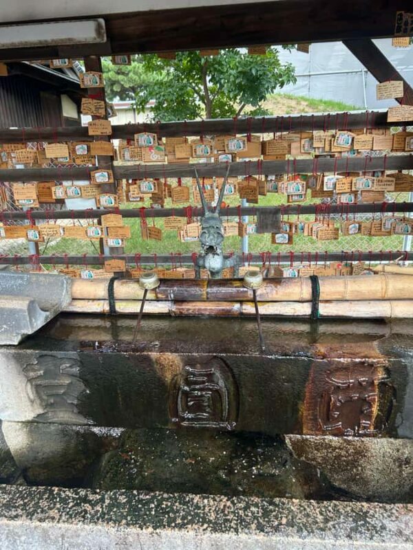 Nara: Half-Day Walking Tour | Spanish Private - Authenticity and Value