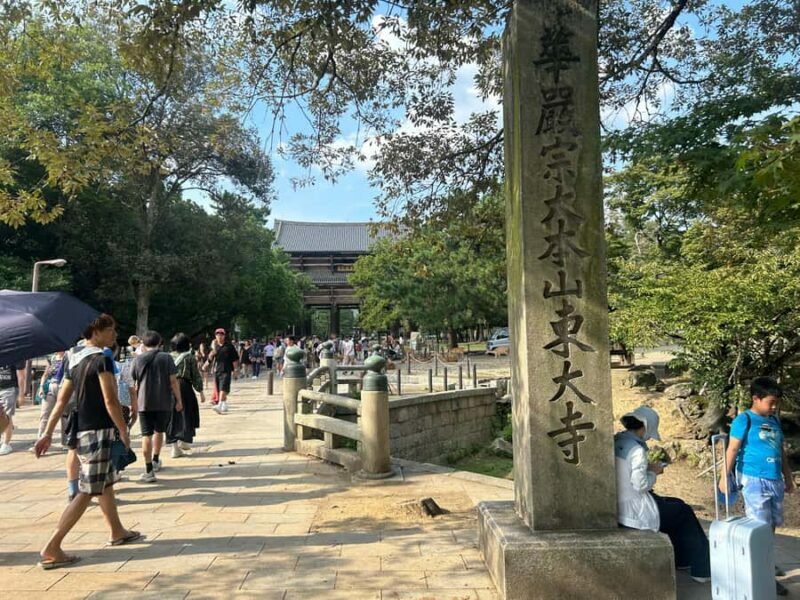 Nara: Half-Day Walking Tour | Spanish Private - The Sum Up: Who Should Consider This Tour?