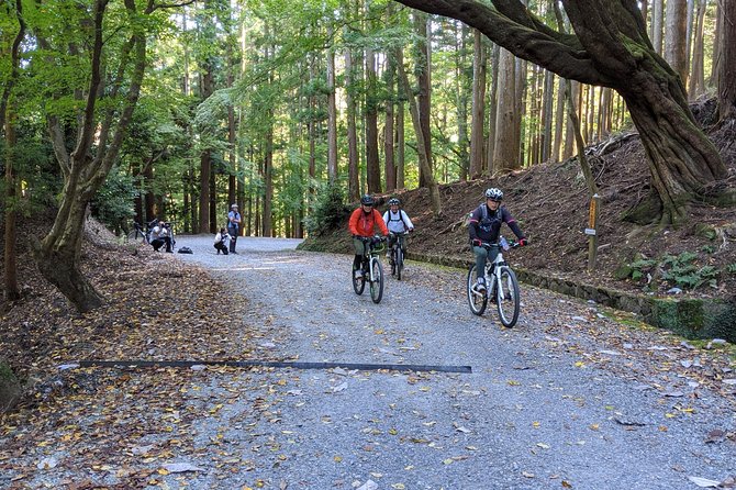 Nara - Heart of Nature Bike Tour - Group Size and Policies