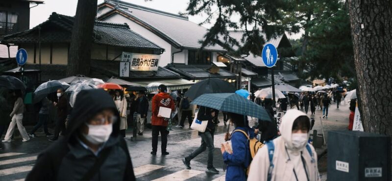 Nara Heritage Walkabout From Nara Park to Todaji-Ji Temple - Key Points