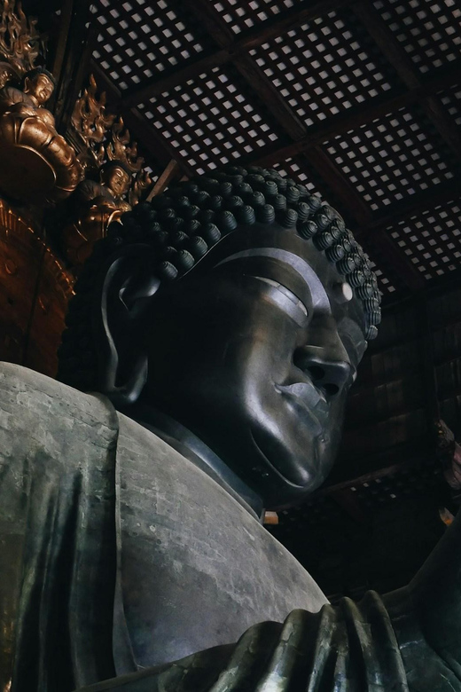 Nara Heritage Walkabout From Nara Park to Todaji-Ji Temple - Sightseeing in Naramachi District