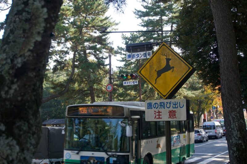 Nara Heritage Walkabout From Nara Park to Todaji-Ji Temple - Public Transportation and Entrance Fees