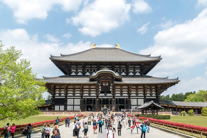 Nara Heritage Walkabout From Nara Park to Todaji Temple - Fascinating Historical Highlights